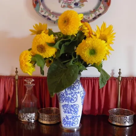 Casa de hóspedes Casa De Vilarinho De S. Romao Sabrosa