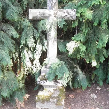 Casa De Vilarinho De S. Romao 3*