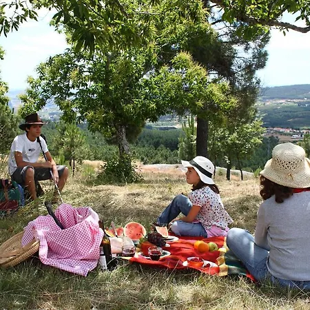 Casa De Vilarinho De S. Romao Casa de hóspedes 3*