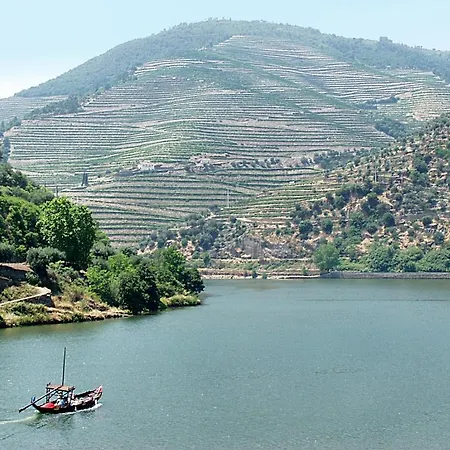 Casa De Vilarinho De S. Romao Casa de hóspedes 3*