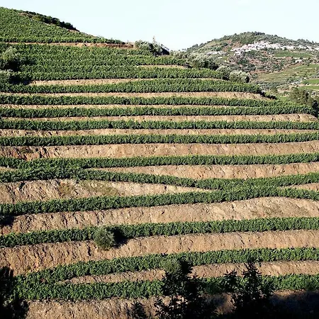 Casa De Vilarinho De S. Romao Sabrosa