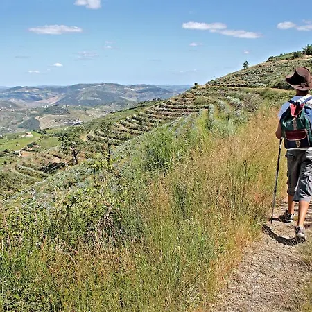 Casa De Vilarinho De S. Romao