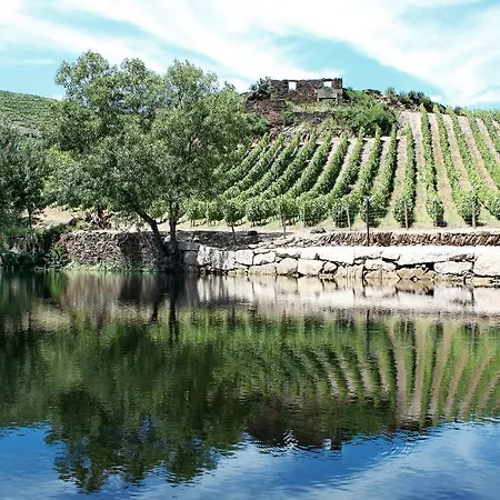 Casa De Vilarinho De S. Romao Gasthof 3*