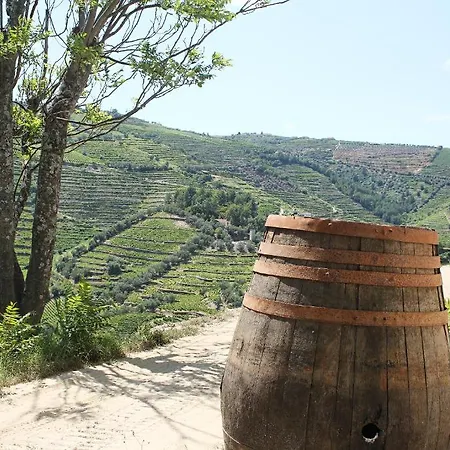 Pensjonat Casa De Vilarinho De S. Romao 3*