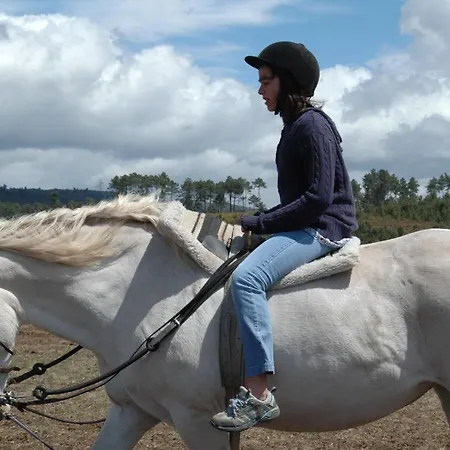 Casa De Vilarinho De S. Romao 3* Sabrosa