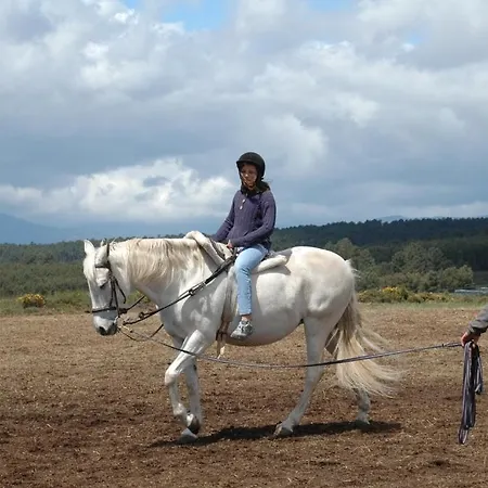 Casa De Vilarinho De S. Romao Pensjonat 3*