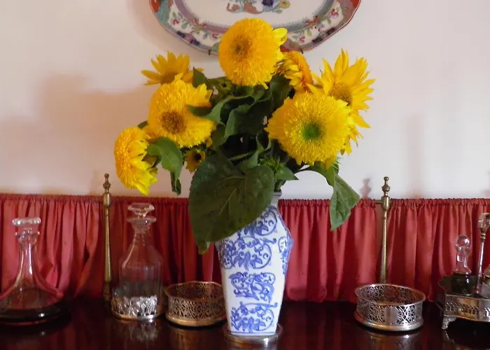 Πανσιόν Casa De Vilarinho De S. Romao Sabrosa