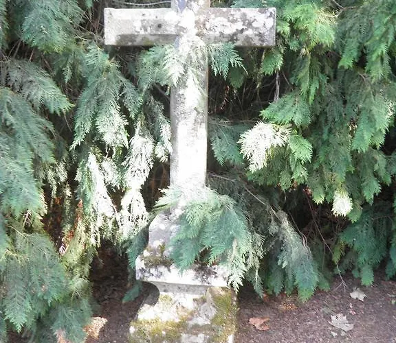 Casa De Vilarinho De S. Romao 3*