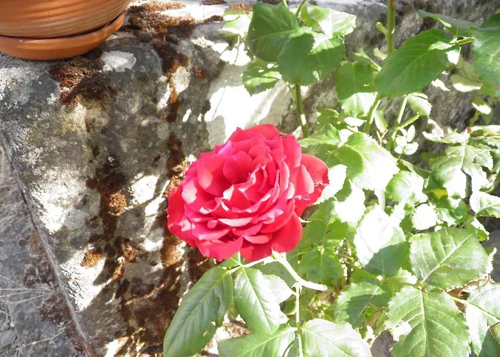 Casa De Vilarinho De S. Romao Πανσιόν Sabrosa