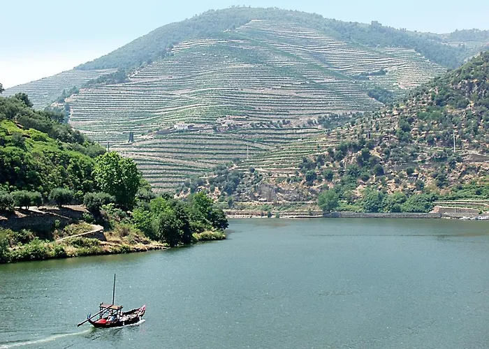 Casa De Vilarinho De S. Romao Πανσιόν 3*
