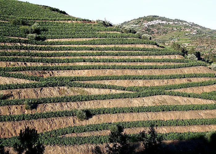 Casa De Vilarinho De S. Romao סברוסה