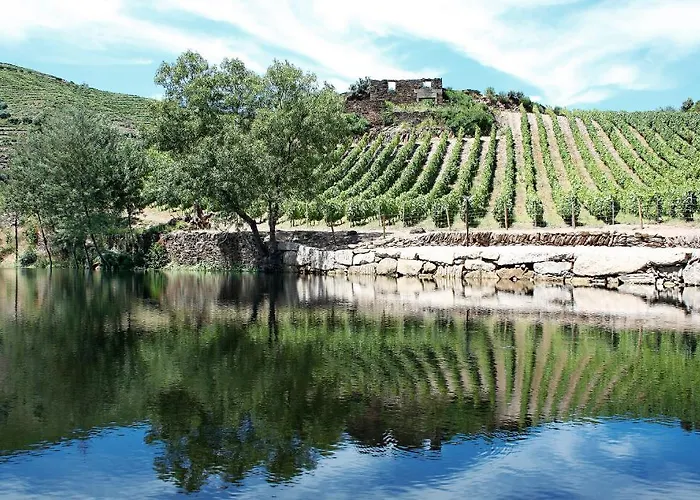 Casa De Vilarinho De S. Romao ゲストハウス 3*