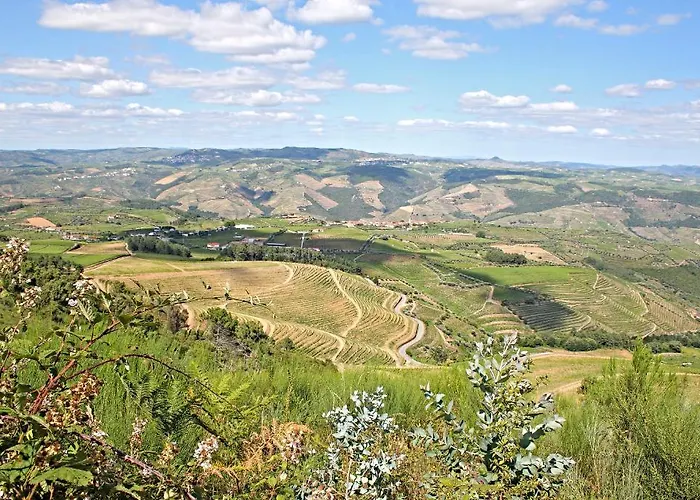 Casa De Vilarinho De S. Romao סברוסה