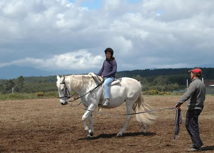 Casa De Vilarinho De S. Romao Πανσιόν 3*
