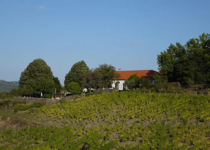 Casa De Vilarinho De S. Romao 3*