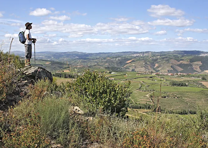 Casa De Vilarinho De S. Romao 3* サボロザ